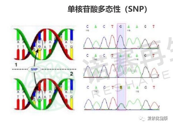 微信图片_20220628113809.jpg