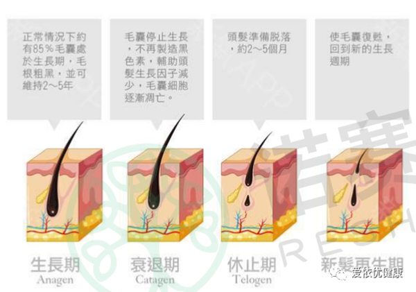 微信图片_20220628131034.jpg
