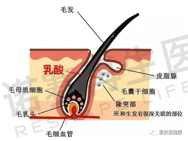 微信图片_20220628131043.jpg